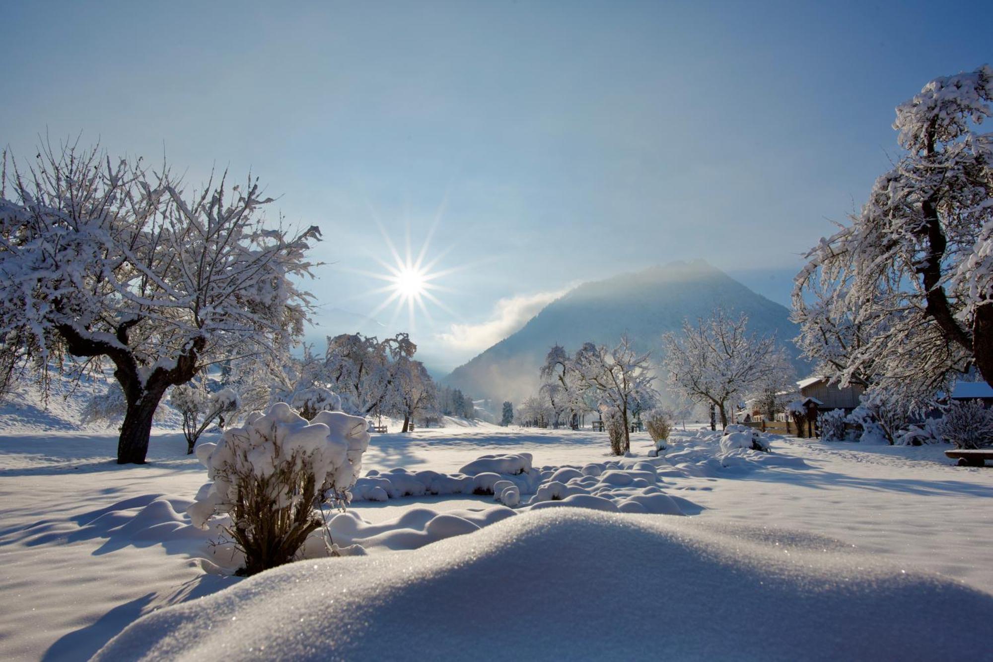 Ferienwohnungen Scheibenhaus Oberstdorf Buitenkant foto