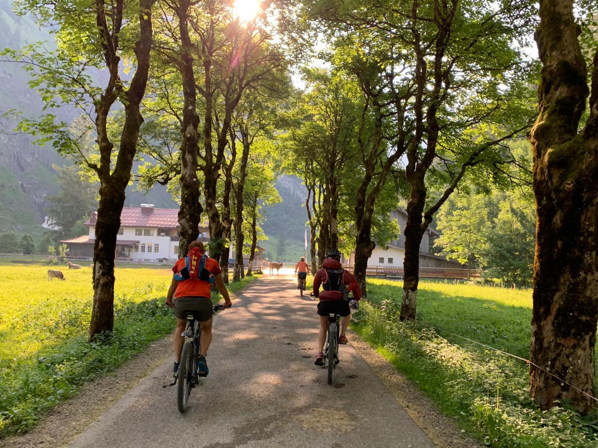 Ferienwohnungen Scheibenhaus Oberstdorf Buitenkant foto