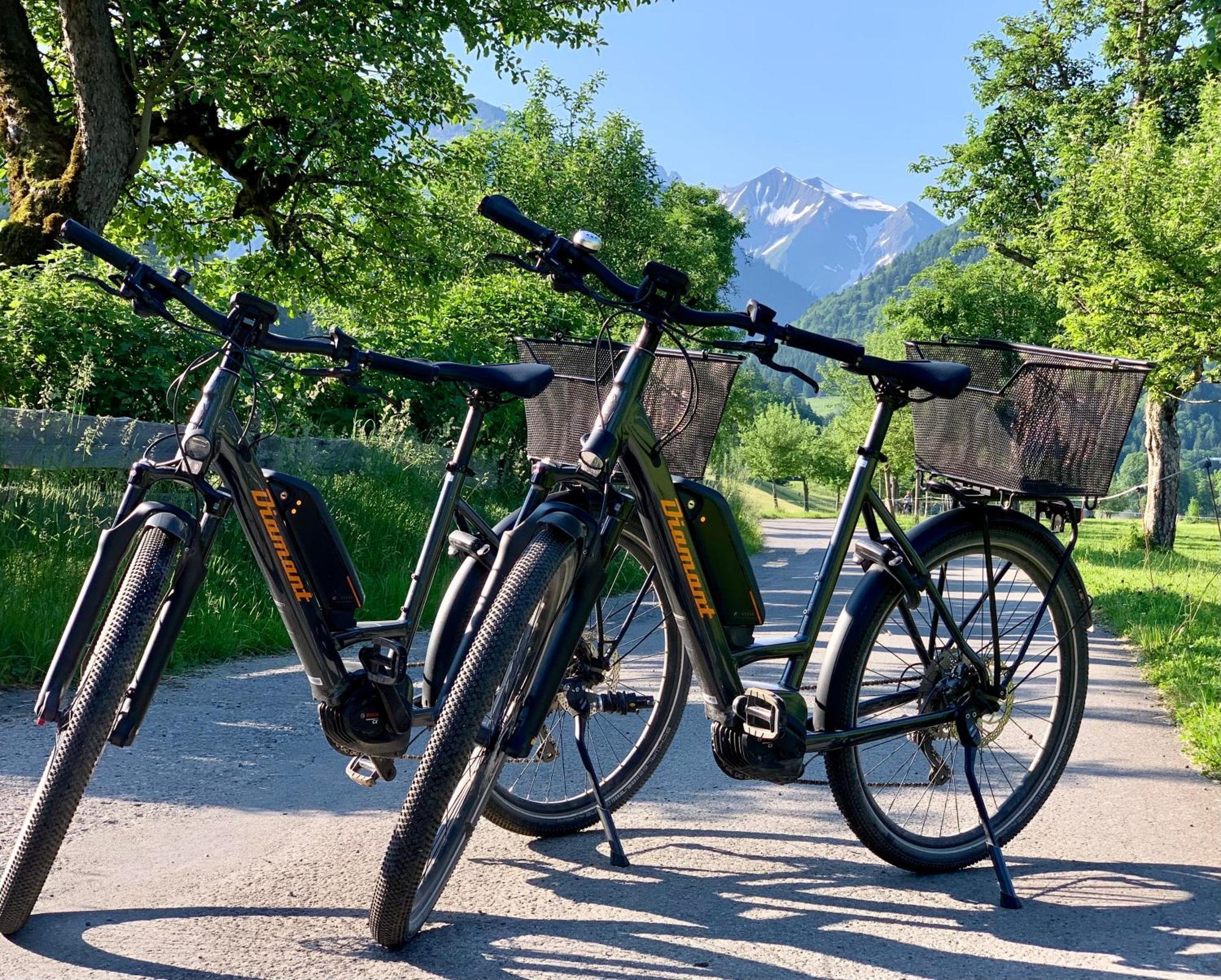 Ferienwohnungen Scheibenhaus Oberstdorf Buitenkant foto